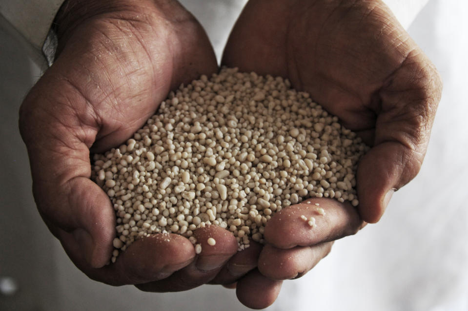 Image: Dealer holds fertilizer containing ammonium nitrate (Khalid Tanveer / AP file)