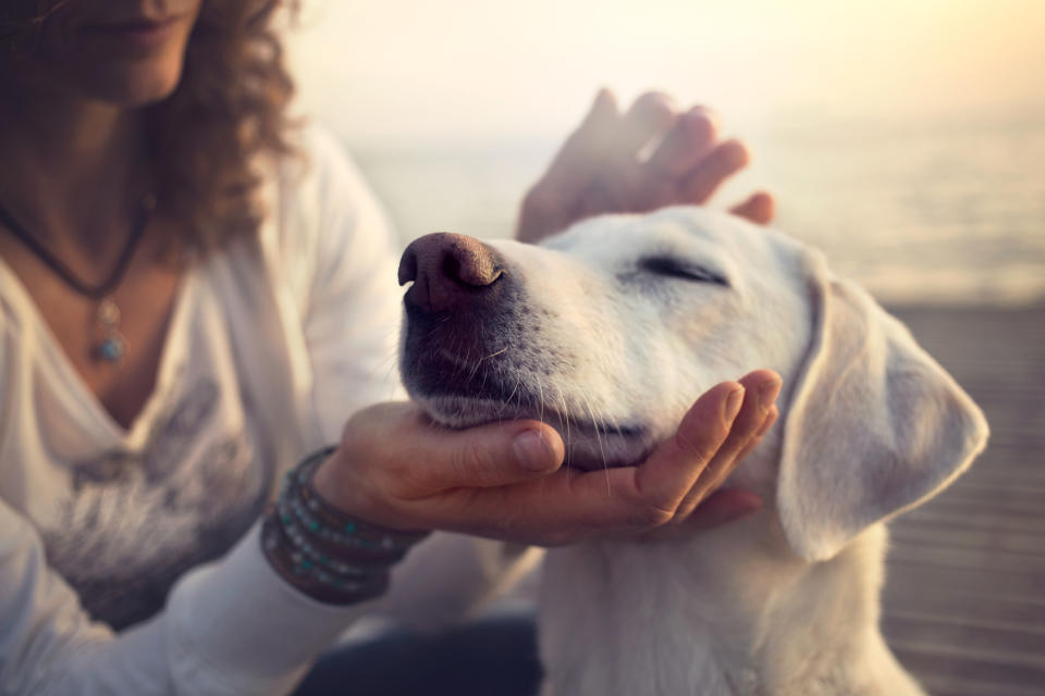 A woman pets a dog