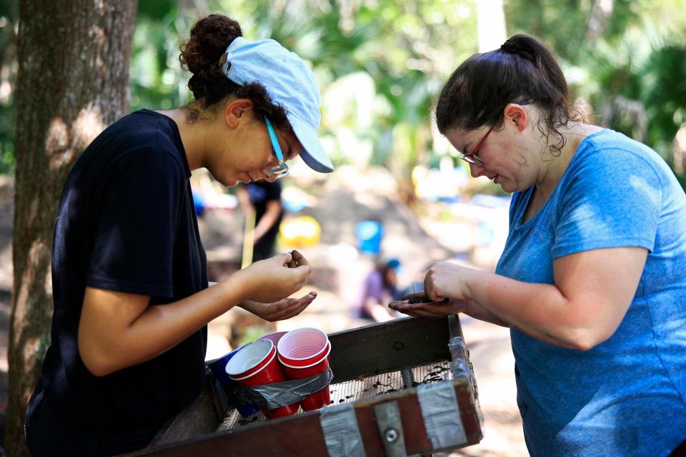 University of North Florida archaeology students Zoe Nazario, left, and Sarah Farber sift through soil during an excavation on Big Talbot Island.