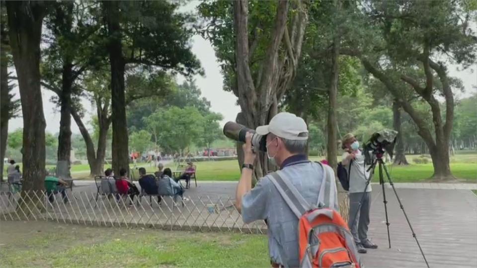 連假來台南玩！　水道博物館.孔廟湧人潮