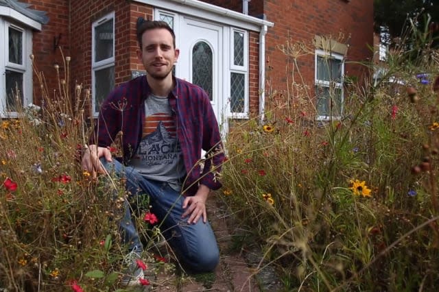 Man turns garden into wild meadow