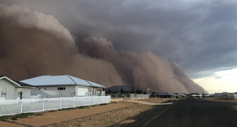 Los fuertes vientos, la sequía y las tormentas eléctricas han provocado este fenómeno. (Crédito: Twitter/@hildo2830)