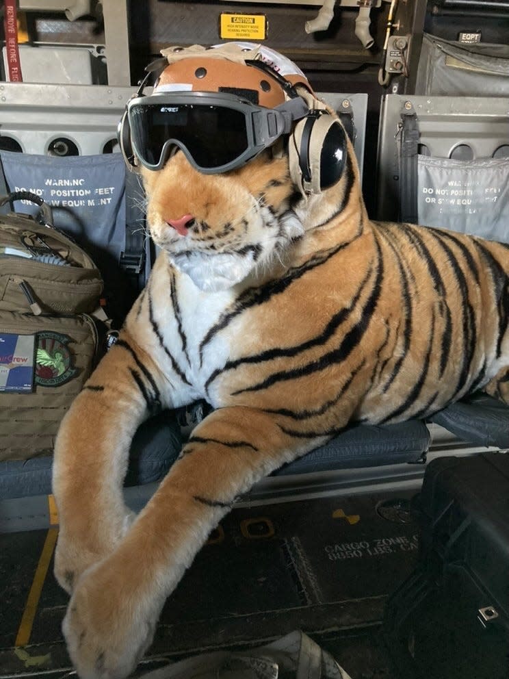 Tyreese VMM-262 Tiger