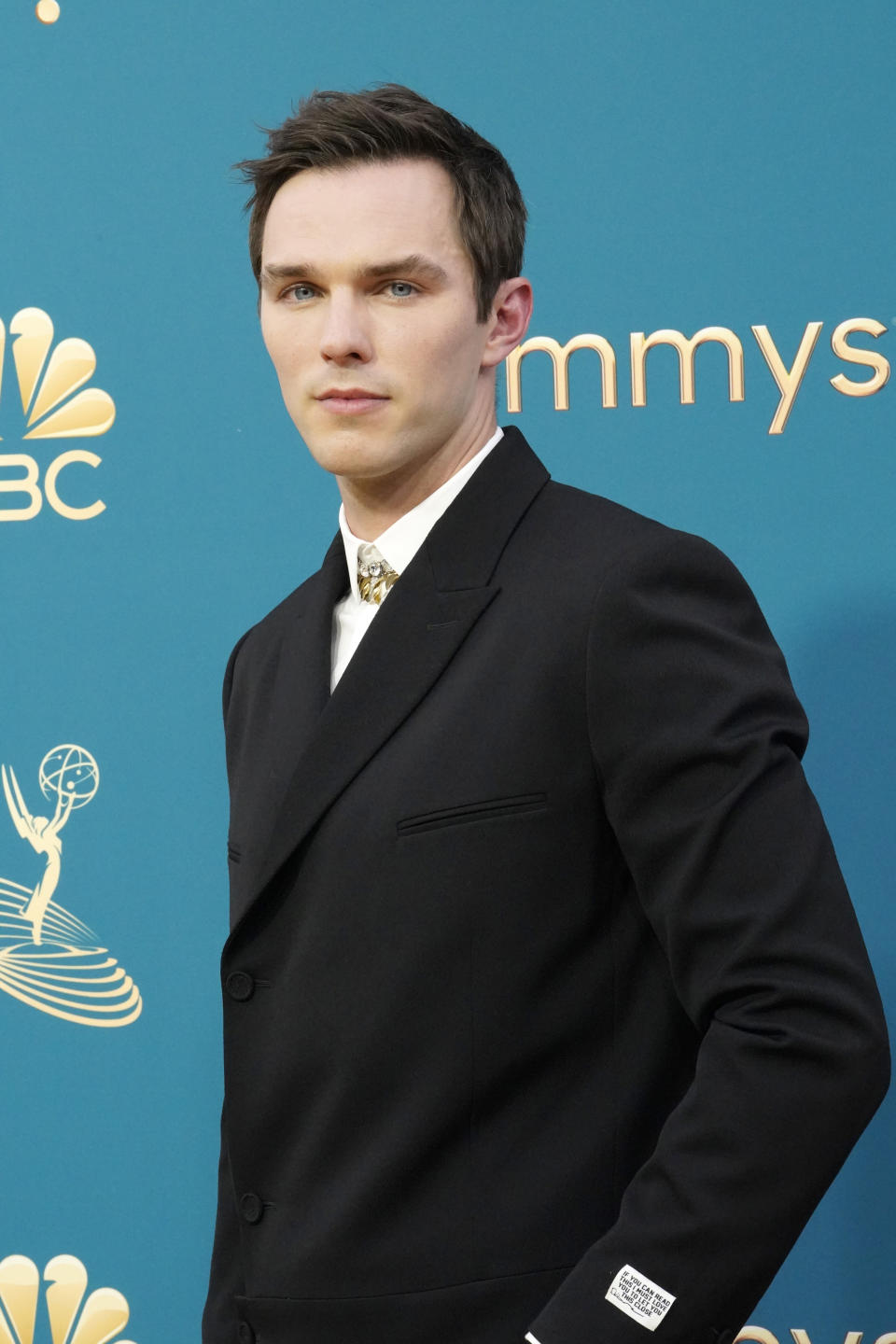 Nicholas Hoult on the red carpet in a suit