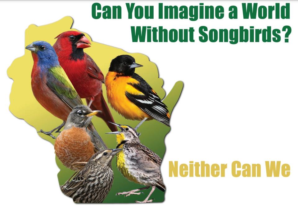 A campaign called Save Our Songbirds seeks to raise awareness over the plight of birds and spur action to help protect them.