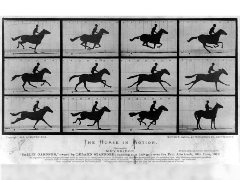 Eadweard Muybridge utilizó la fotografía ‘stop-motion’ de alta velocidad para captar el movimiento de un caballo. Las fotos demuestran que el caballo tiene las cuatro patas en el aire y contraídas en algunos momentos de la zancada. <a href="https://commons.wikimedia.org/wiki/File:The_Horse_in_Motion_high_res.jpg" rel="nofollow noopener" target="_blank" data-ylk="slk:Wikimedia commons;elm:context_link;itc:0;sec:content-canvas" class="link ">Wikimedia commons</a>, <a href="http://creativecommons.org/licenses/by/4.0/" rel="nofollow noopener" target="_blank" data-ylk="slk:CC BY;elm:context_link;itc:0;sec:content-canvas" class="link ">CC BY</a>