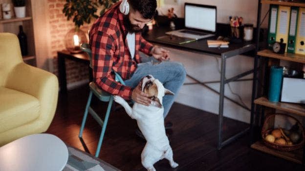 Muchos freelancers eligen rechazan las oportunidades de trabajos de tiempo completo. Getty Images. 