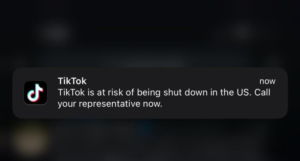 TikTok 向用戶推送通知，反對美國禁止TikTok法案通過   圖 : 翻攝自Ｘ @SydneyDaddy1