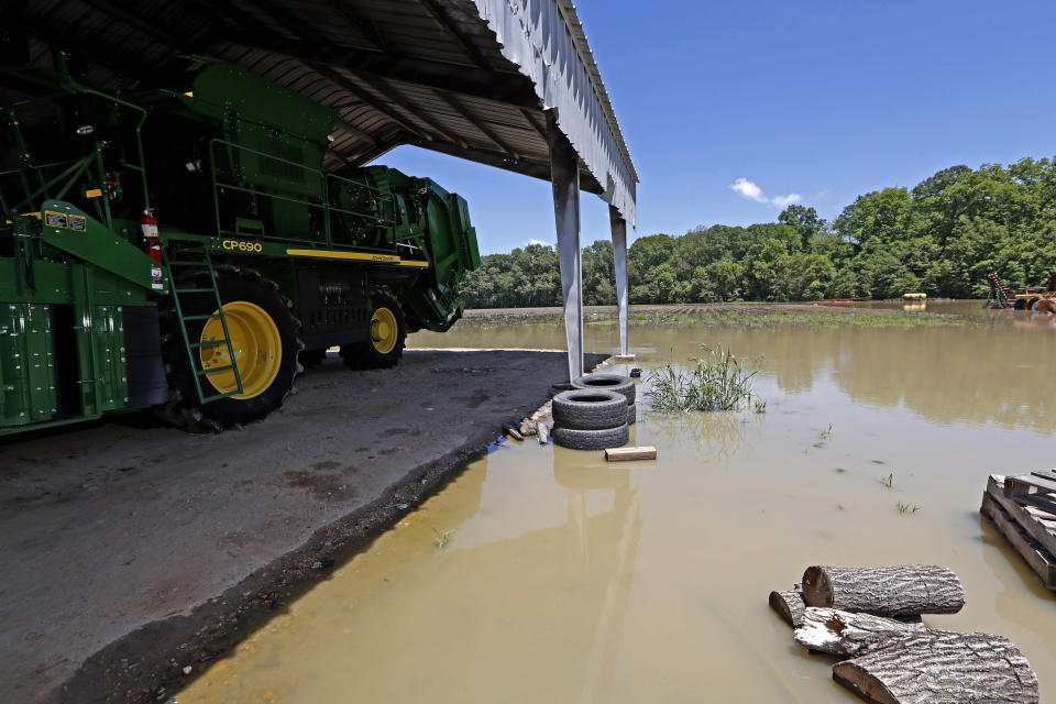 FILE - A cotton picking tractor of Grosvenor Farms sits marooned in its Holly Bluff, Miss., shed, as backwater surround it and the fields surrounding it on May 23, 2019. Federal officials presented a proposal Thursday, May 4, 2023, to further control flooding in the Mississippi Delta, a move that comes after months of work from government agencies and decades of delays amid disputes over potential environmental impacts. (AP Photo/Rogelio V. Solis, File)