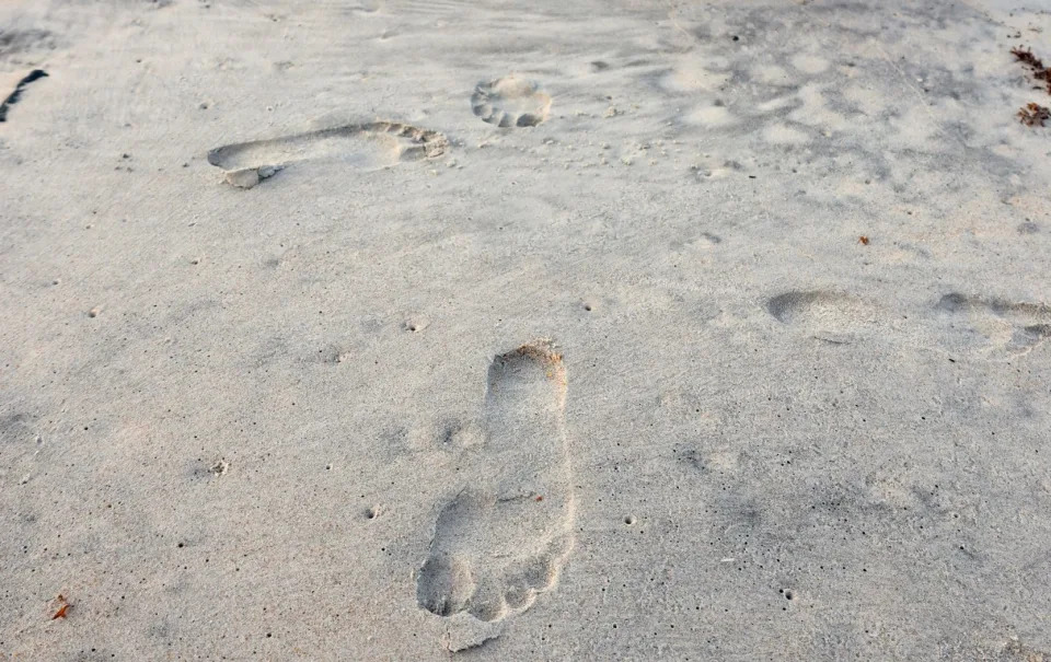 Footprints on a beach of which scientists collected high-quality DNA from - David Duffy/University of Florida/PA