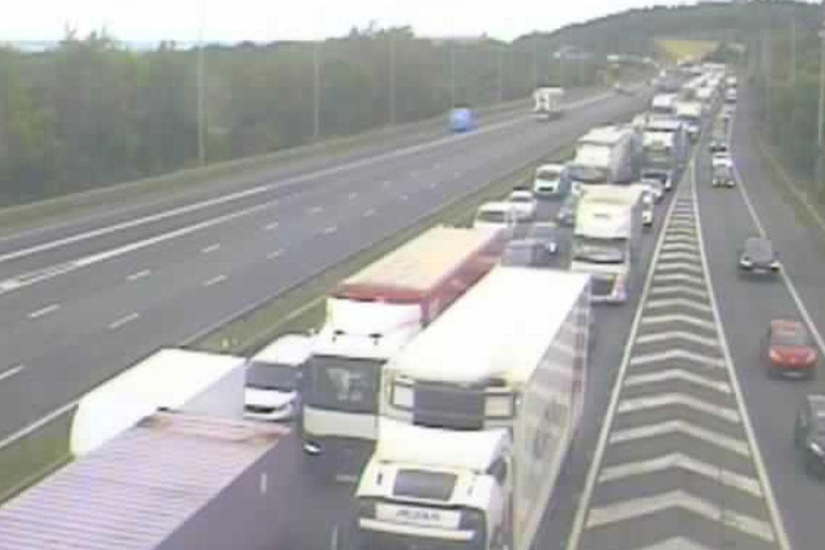 Queues on the motorway <i>(Image: National Highways)</i>