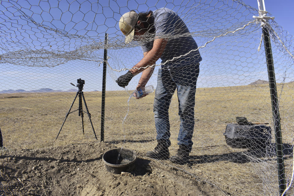 Tevin Messerly with the Fort Belknap Tribes Fish and Wildlife Department pours water into a bowl inside a pen holding swift foxes that were being released on the Montana reservation, on Wednesday, Sept. 28, 2022, near Fort Belknap Agency, Mont. Native species such as swift foxes and black-footed ferrets disappeared from the Fort Belknap Indian Reservation generations ago, wiped out by poisoning campaigns, disease and farm plows that turned open prairie where nomadic tribes once roamed into cropland and cattle pastures. (AP Photo/Matthew Brown)