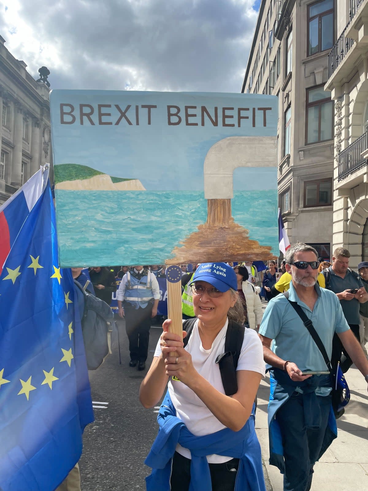 Anne Iacovazzo was among the pro-EU crowd (Barney Davis/The Independent)