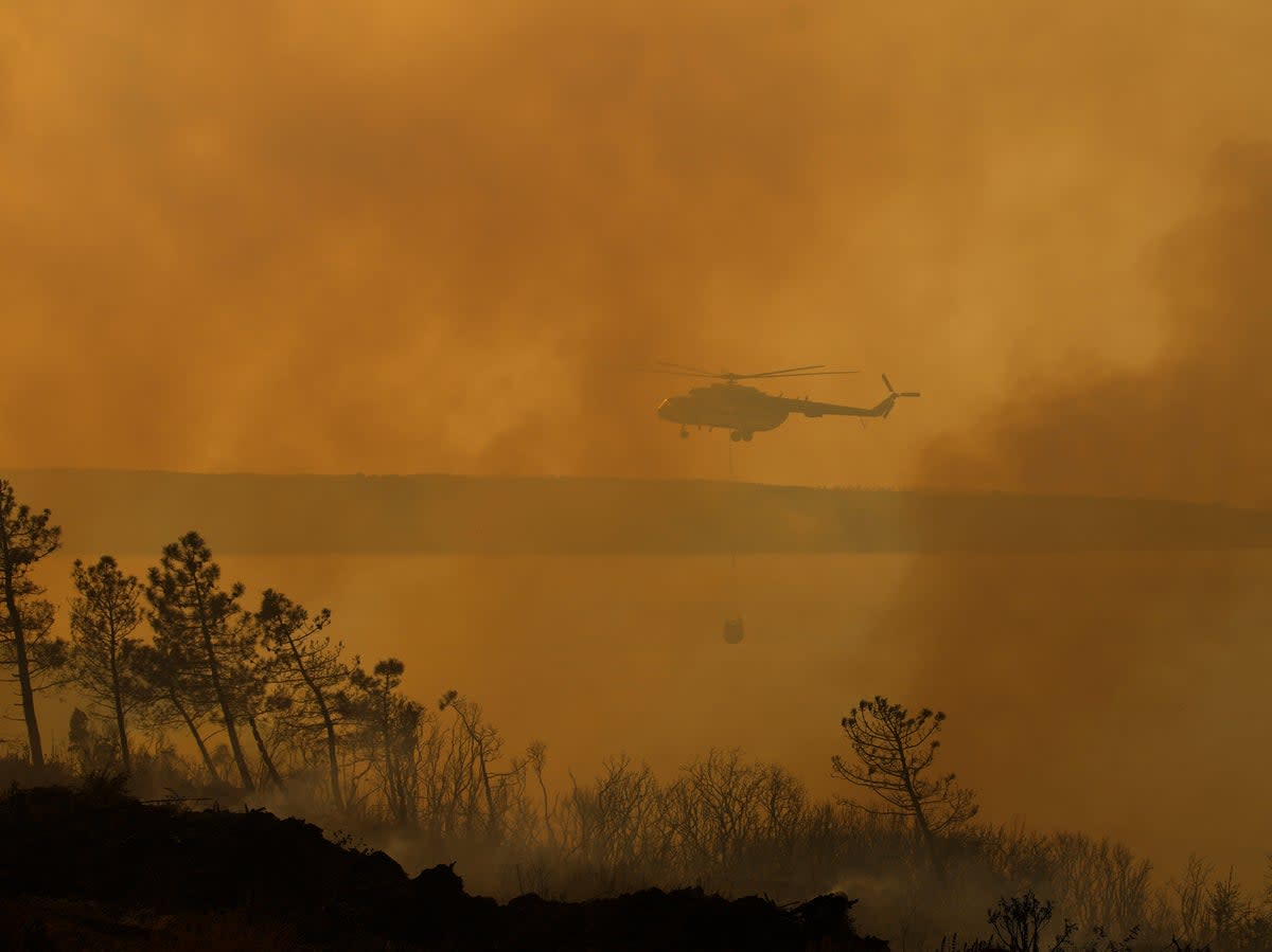 A helicopter working to extinguish a wildfire in Beykoz, on the outskirts of Istanbul (AP)