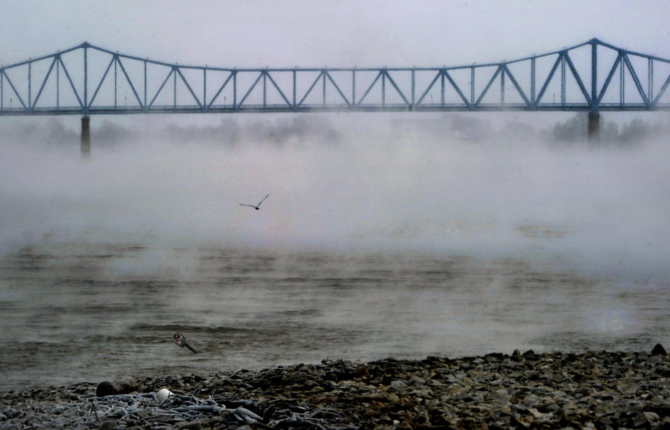 A bird flies out of the steam rising off the Ohio River near English Park in Owensboro, Ky., on Monday Jan. 6, 2014. According to the National Oceanic and Atmospheric Administration's National Weather Service website the water temperature of the Ohio River at the Cannelton Lock on Monday was 36. Regional highs in air temperature stayed in low single digits with lows recorded below zero. (AP Photo/ Messenger-Inquirer, Jenny Sevcik)