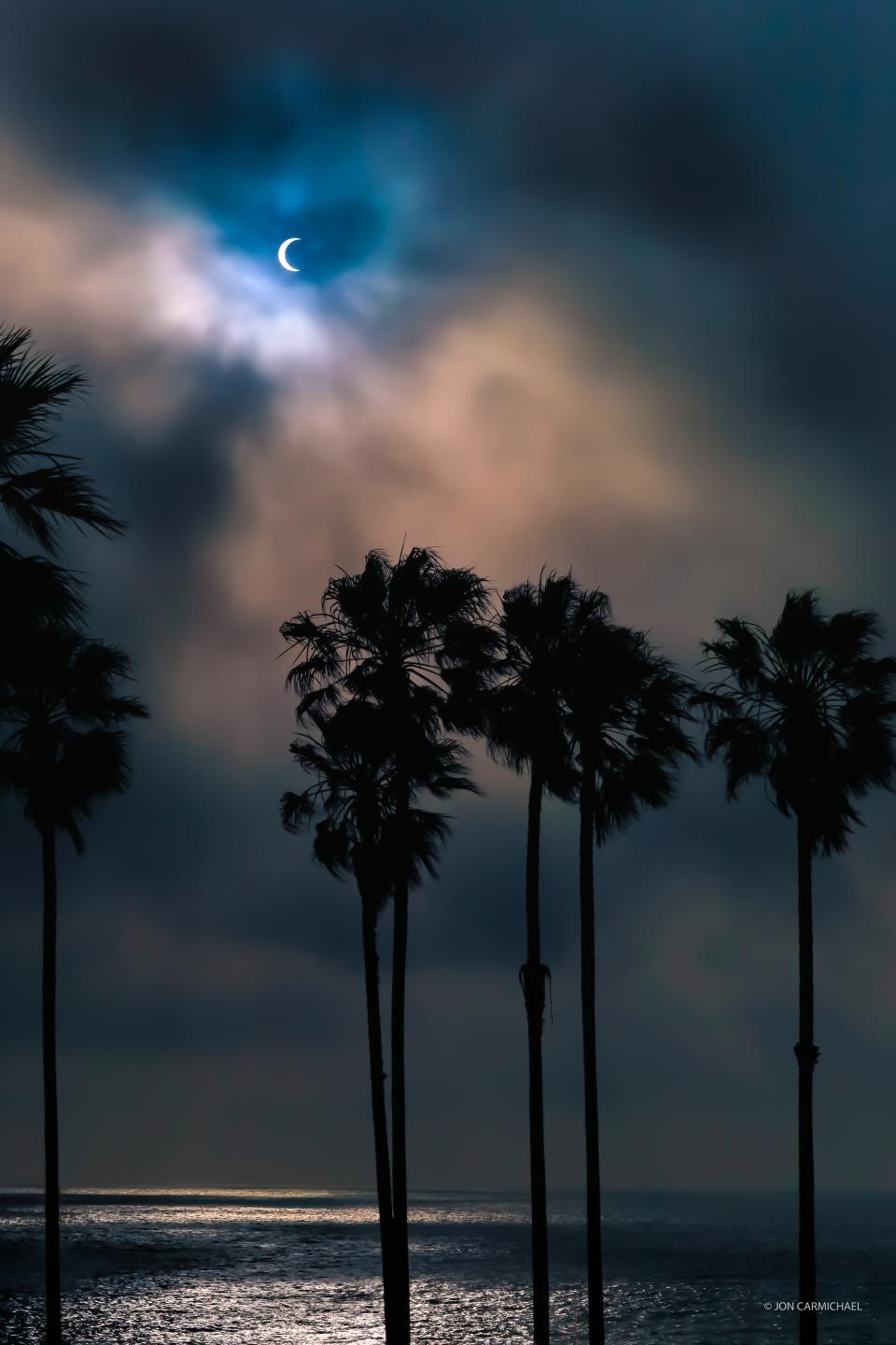 The moon partially eclipses the sun in the sky with palm trees and the ocean in the foreground.