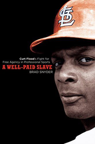 <em>A Well-Paid Slave</em>, by Brad Snyder