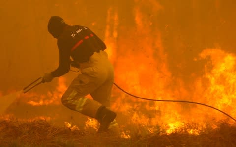  A firefighter tries to extinguish a forest fire in Zamanes area, in Vigo, Galicia, northwestern Spain - Credit: EPA