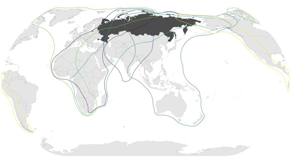 Multiple global migratory waterbird flyways intersect Russia (shaded in dark gray). Conserving areas that migratory birds use while they are in Russia is a critical strategy for protecting the species. <a href="https://wpp.wetlands.org/downloads/downloads" rel="nofollow noopener" target="_blank" data-ylk="slk:Brad K. Woodworth, adapted from Wetlands International;elm:context_link;itc:0;sec:content-canvas" class="link ">Brad K. Woodworth, adapted from Wetlands International</a>, <a href="http://creativecommons.org/licenses/by-nd/4.0/" rel="nofollow noopener" target="_blank" data-ylk="slk:CC BY-ND;elm:context_link;itc:0;sec:content-canvas" class="link ">CC BY-ND</a>