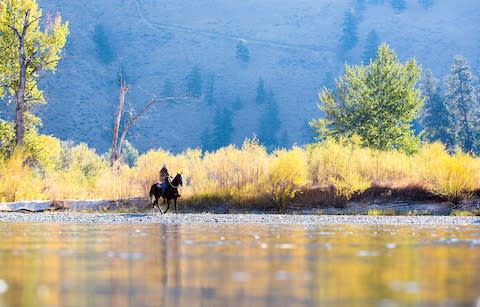 montana - Credit: Getty