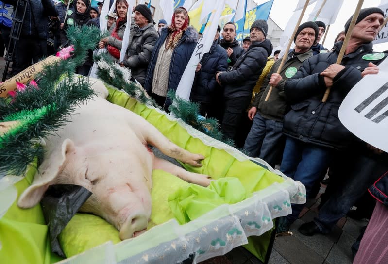 A coffin with a dead pig inside is seen as agricultural workers, rural landowners attend a rally to protest against land reform in front of the parliament building in Kiev