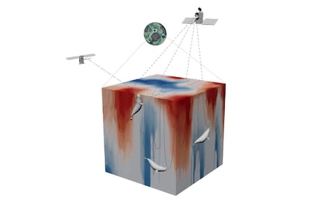 The seal data was compared with satellites showing where eddies were in the current  - Credit: Nasa