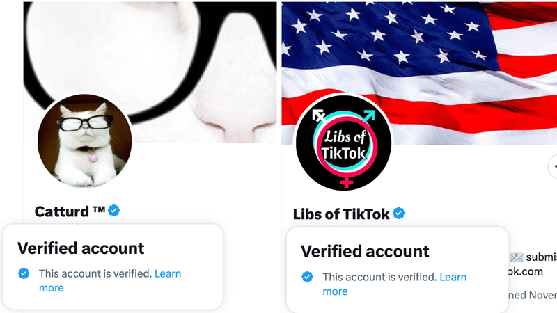 Screenshots of Catturd and Libs of TikTok' account, which feature Twitter's new label.