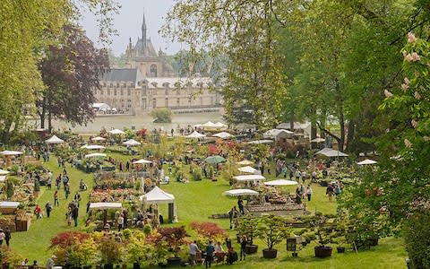 Chantilly's Les Journées des Plantes flower shows create a stunning backdrop for the town - Credit: Getty