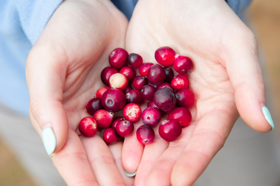 Cranberries sind echte Powerbeeren für's Gehirn. (Symbolbild: Getty Images)