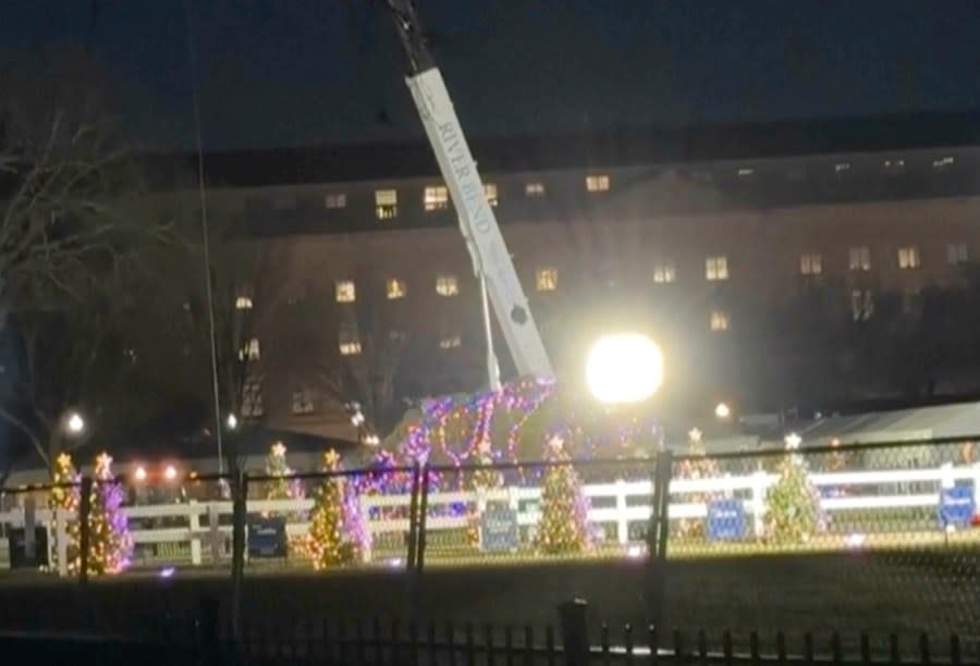 In this image made from video, the National Christmas Tree lies on the ground in front of the White House after it fell, Tuesday, Nov. 28, 2023, amid high winter winds. (AP Video)