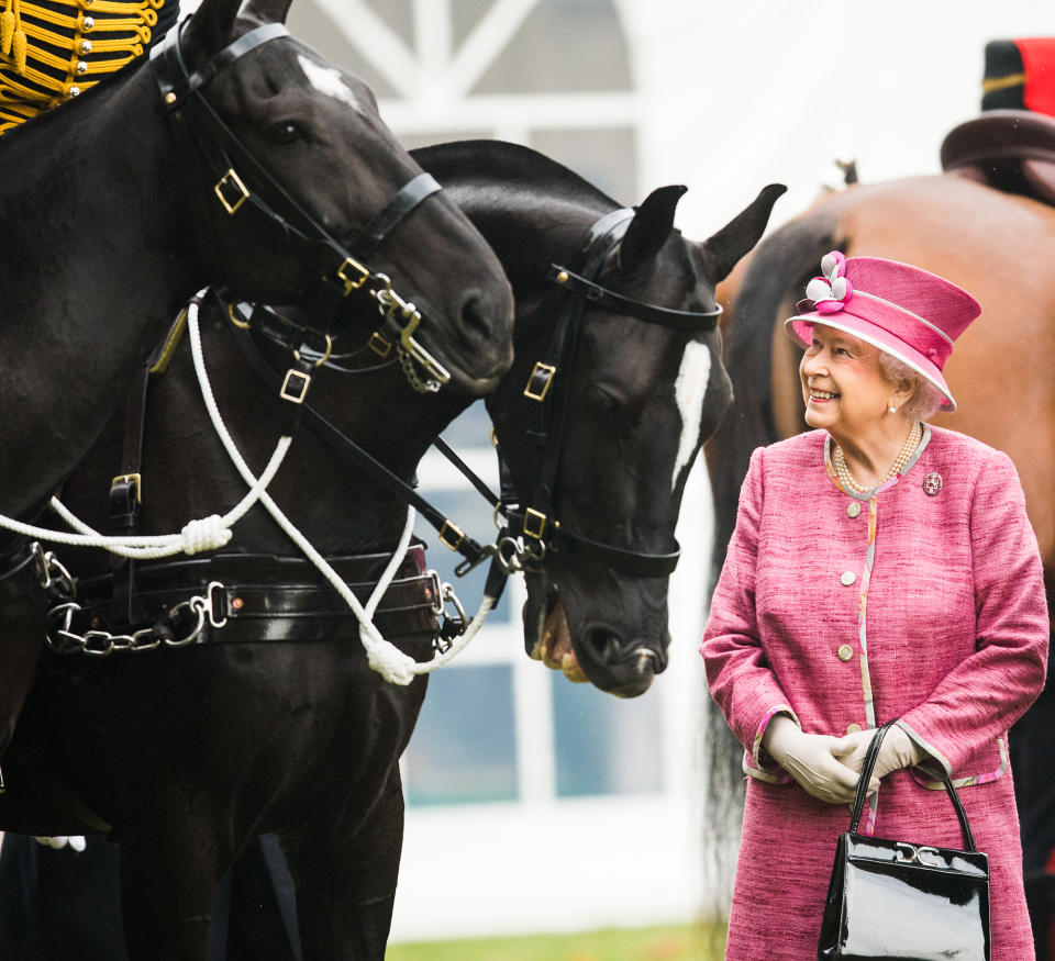 ALL THE QUEEN'S HORSES
