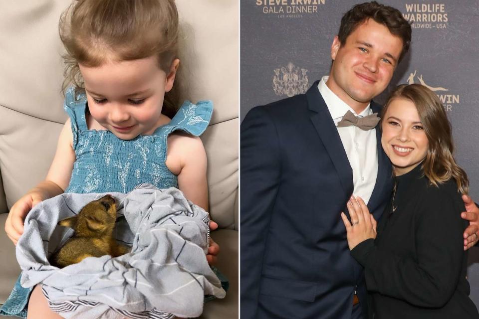 <p>Chandler Powell/Instagram; Paul Archuleta/Getty</p> Grace Warrior cuddles a baby kangaroo (L), Chandler Powell and Bindi Irwin (R)