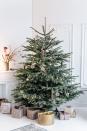 <p>According to the<a href="https://www.christmastreeassociation.org/america-is-not-divided-on-one-issue-christmas-trees-continue-toincrease-their-festive-hold-on-the-holiday-season/" rel="nofollow noopener" target="_blank" data-ylk="slk:American Christmas Tree Association;elm:context_link;itc:0;sec:content-canvas" class="link "> American Christmas Tree Association</a>, about 95 million households in the U.S. will put up a Christmas tree (or two) this year. The tradition of decorated trees can be traced back to <a href="https://www.history.com/topics/christmas/history-of-christmas-trees#:~:text=Germany%20is%20credited%20with%20starting,candles%20if%20wood%20was%20scarce." rel="nofollow noopener" target="_blank" data-ylk="slk:Germany in the 16th century;elm:context_link;itc:0;sec:content-canvas" class="link ">Germany in the 16th century</a>. It's said that Protestant reformer Martin Luther first thought to add candles to decorate the branches with light after being inspired by the sight of stars twinkling through the evergreens while walking home one winter's night. Queen Victoria and her German husband Prince Albert <a href="https://www.townandcountrymag.com/society/tradition/a25619292/queen-victoria-prince-albert-christmas-tree-holiday-tradition/" rel="nofollow noopener" target="_blank" data-ylk="slk:popularized the Christmas tree;elm:context_link;itc:0;sec:content-canvas" class="link ">popularized the Christmas tree</a> with their own displays in the 1840s and the tradition found its way to the U.S., too. The <a href="https://web.extension.illinois.edu/trees/facts.cfm#:~:text=The%20first%20Christmas%20tree%20retail,trees%20from%20Michigan%20to%20Chicagoans." rel="nofollow noopener" target="_blank" data-ylk="slk:first Christmas tree lot;elm:context_link;itc:0;sec:content-canvas" class="link ">first Christmas tree lot</a> popped up in 1851 in New York and the first tree appeared in the <a href="https://www.whitehousehistory.org/press-room/press-backgrounders/white-house-christmas-traditions#:~:text=The%20first%20known%20Christmas%20tree,candles%20for%20the%20Harrison%20grandchildren." rel="nofollow noopener" target="_blank" data-ylk="slk:White House in 1889;elm:context_link;itc:0;sec:content-canvas" class="link ">White House in 1889</a>. </p>