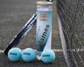 <p><strong>PriceofBath</strong></p><p>etsy.com</p><p><strong>$23.02</strong></p><p>Add some extra flare to their game with personalized tennis balls.</p>