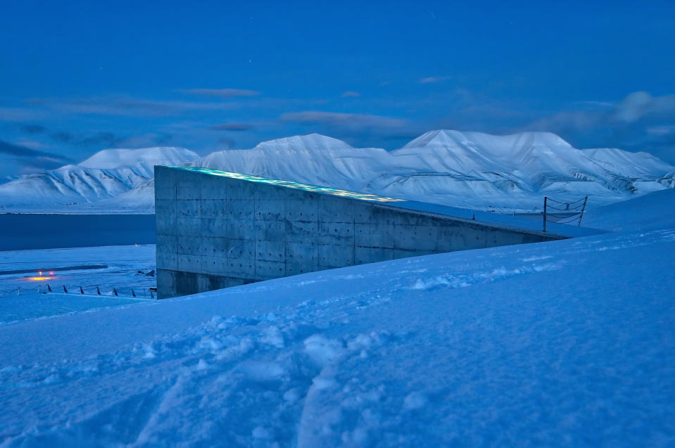 <p>La Bóveda Global de Semillas de Svalbard, en la isla de Spitsbergen, a mitad de camino entre la Noruega continental y el Polo Norte, fue construida para preservar el capital vegetal del planeta.</p> <p>Si buena parte de las cosechas globales son destruidas por las guerras, las enfermedades y otras catástrofes, la bóveda permitirá que esas especies no desaparezcan para siempre, lo que también garantiza la supervivencia humana.</p> <p>Solo se abre unas pocas veces al año para limitar la exposición de sus bancos de semillas al mundo exterior y evitar su deterioro.</p> 