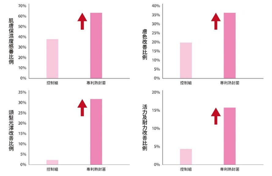 專利熱封型乳酸菌幫助保濕、頭髮光澤與活力。