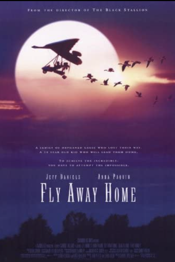 'Fly Away Home'