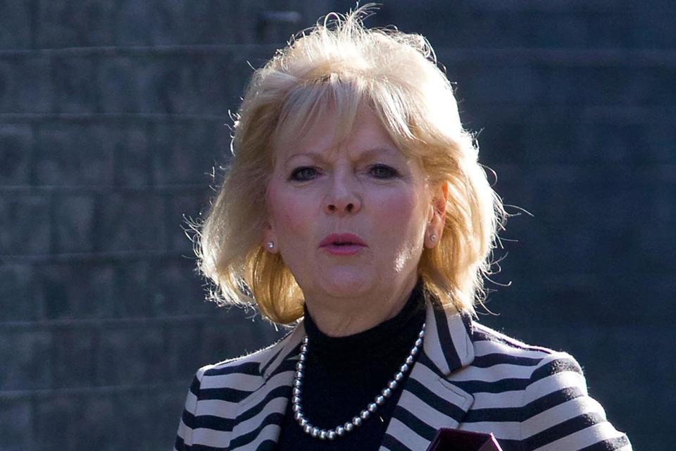 Conservative MP Anna Soubry. (AFP/Getty Images): AFP/Getty Images