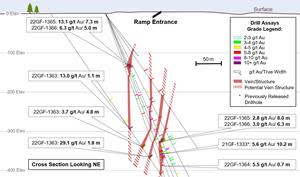 Cross Section of Grey Fox - Gibson Target Area with Interpreted Vein Sets