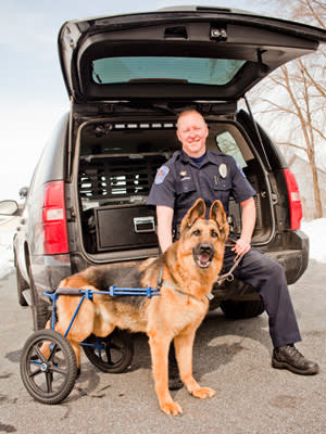 disabled dog with police officer by a truck