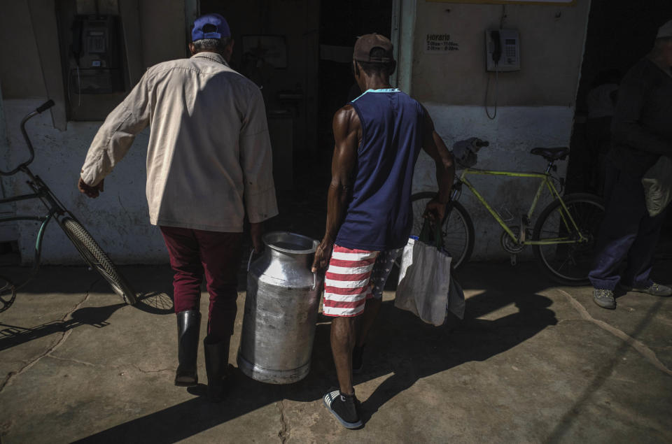 Farm workers carry a tank of fresh milk to deliver it to a government store, known as a "bodega," in San Nicolas, Cuba, Friday, May 19, 2023. The ongoing fuel shortage on the island has worsened an ongoing food and medicine shortage in the country´s interior. (AP Photo/Ramon Espinosa)