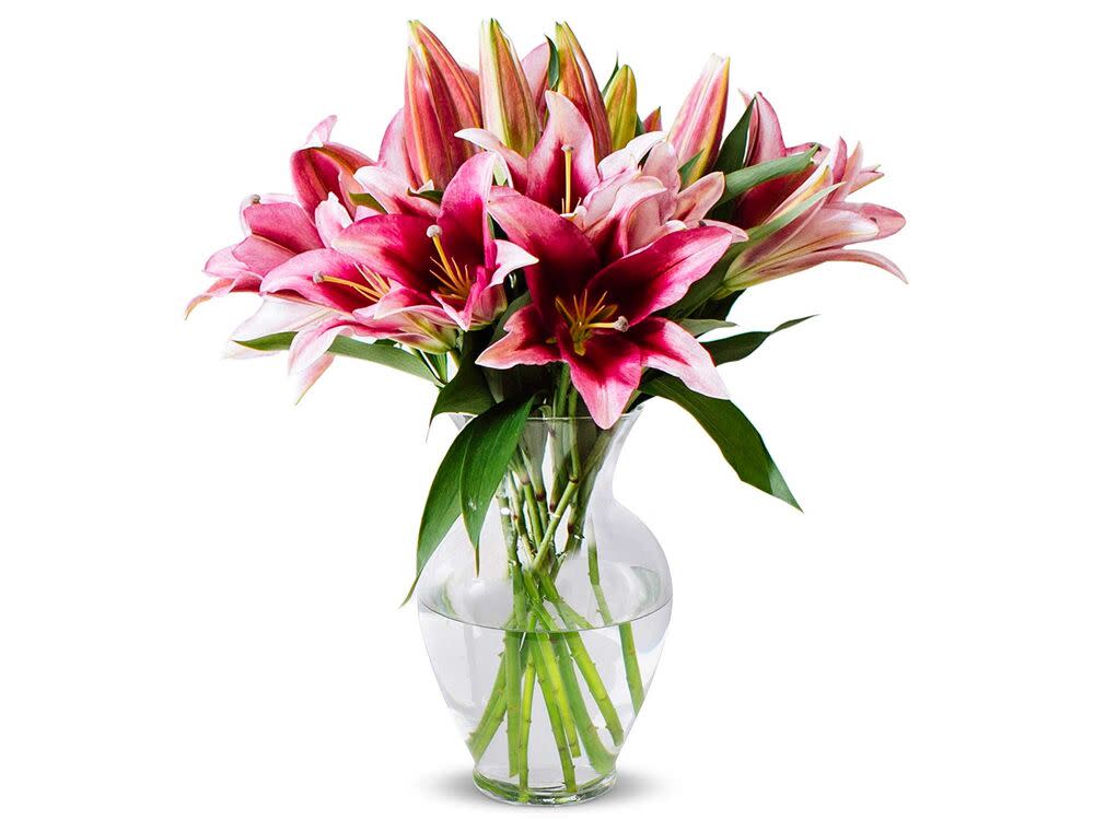 Benchmark Bouquets 8 Stem Stargazer Lily Bunch, With Vase (Fresh Cut Flowers)