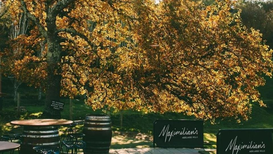 Maximillian's restaurant in Adelaide Hills. Picture Facebook.JPG