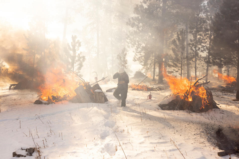 A forest service worker covers their face from the smoke and walks through a landscape dotted with burning piles as the light catches on the smoke and obscures the surrounding forest