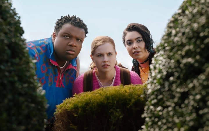 Three people stand above a bush and stare.