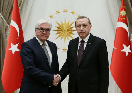 Turkish President Tayyip Erdogan meets with German Foreign Minister Frank-Walter Steinmeier in Ankara, Turkey, November 15, 2016. Murat Cetinmuhurdar/Presidential Palace/Handout via REUTERS