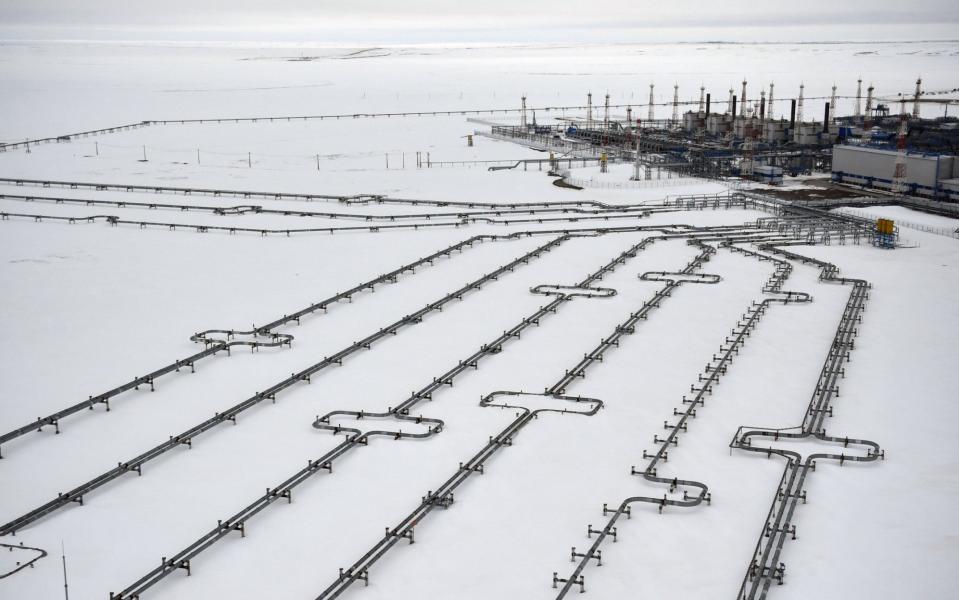 Pipelines leading to the Bovanenkovo gas field - ALEXANDER NEMENOV/AFP