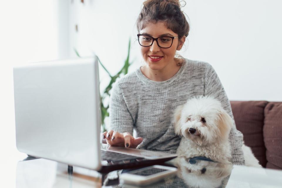 A person at a laptop with a dog in their lap.