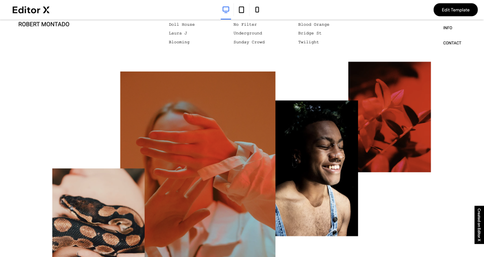 best website builders for photographers: Editor X