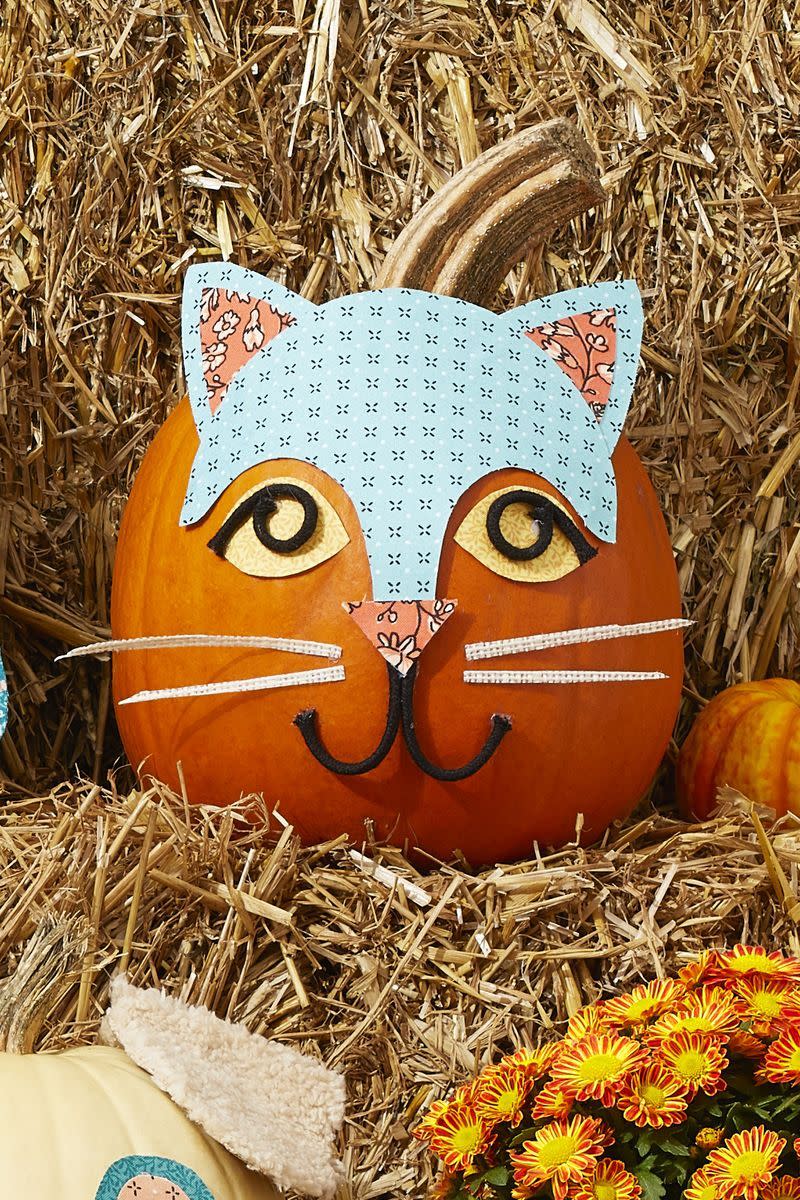 Pumpkin Cat